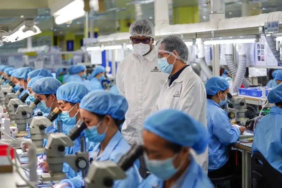 learning education supplier